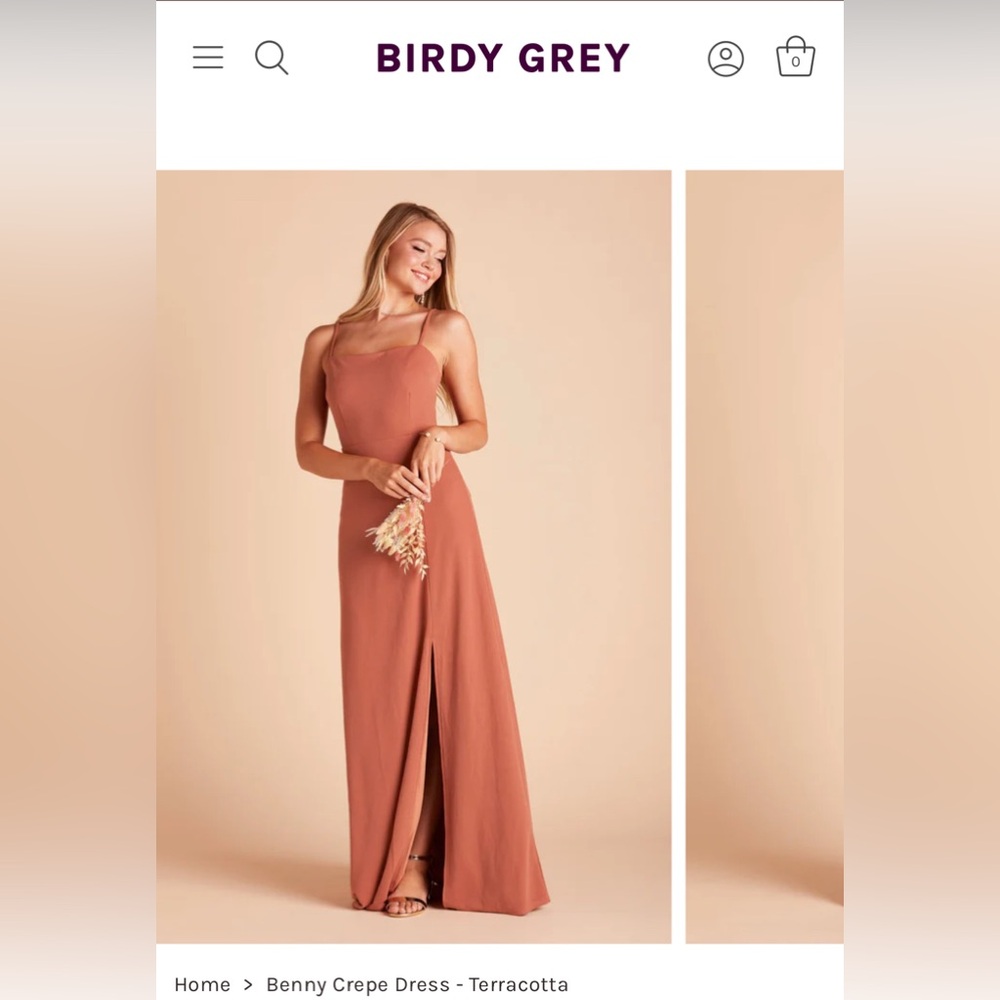 Birdy Grey Benny Crepe Dress in Terracotta